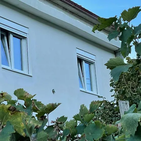 Vacation Ilia شقة