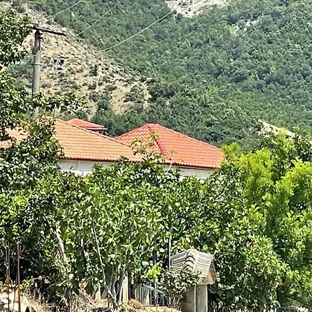 Vacation Ilia Lejlighed Përmet