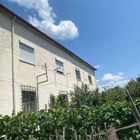 Vacation Ilia شقة