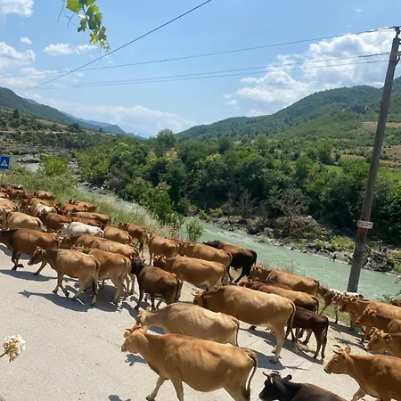 Vacation Ilia شقة