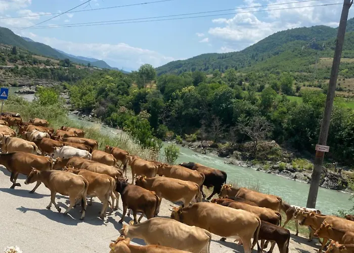 Vacation Ilia Διαμέρισμα